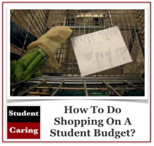 How To Do Shopping On A Student Budget?